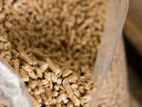 High quality Wood pellet for biomass fuel - photo 3