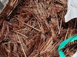 Best metal scrap copper wire Copper Scrap, Copper Wire Scrap, Copper 99 - фото 2