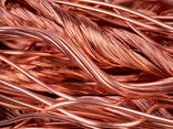 Best metal scrap copper wire Copper Scrap, Copper Wire Scrap, Copper 99 - фото 3
