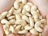 Cashew nut - фото 1