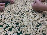 Cashew Nuts from Vietnam - фото 6
