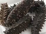 Cheap Wholesale Top Quality Dried Sea Cucumber (Seafood) In Bulk - фото 1