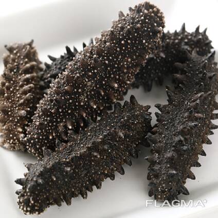 Cheap Wholesale Top Quality Dried Sea Cucumber (Seafood) In Bulk
