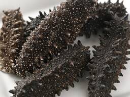 Cheap Wholesale Top Quality Dried Sea Cucumber (Seafood) In Bulk