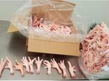 Chicken Feet and chicken paws and whole halal chicken at the best prices with prompt shipp - фото 1