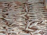 Chicken Feet and chicken paws and whole halal chicken at the best prices with prompt shipp - фото 1