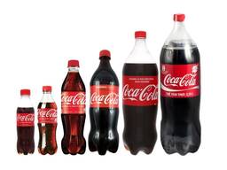 Coca-Cola Zero Sugar Soda Soft Drink Bottles, 16.9 fl oz Pack of 6