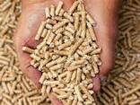 DINplus / ENPlus A1 oak pine pellets , Fir, spruce wood pellet in stock, wood pellets - фото 3