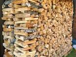 Premium Hardwood Model Kiln Dried Beech Firewood - photo 1