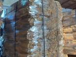 Premium Hardwood Model Kiln Dried Beech Firewood - photo 2