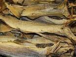 Dry Stock Fish / Dry Stock Fish Head / dried salted cod Dry Stockfish - фото 1