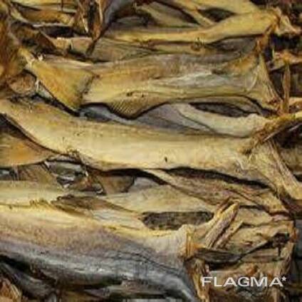 Dry Stock Fish / Dry Stock Fish Head / dried salted cod Dry Stockfish