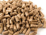 Wood Pellets Price 240KW New Design Energy Saving Biomass Wood Pellets Burner for Boiler - photo 4