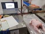 Export of meat - фото 1