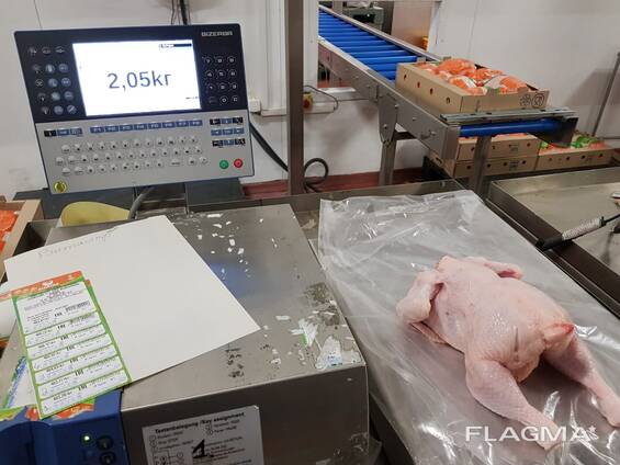 Export of meat