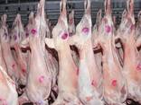 Export of meat - photo 1