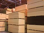 Фанера - фото 1