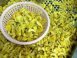 Freeze dried fruits wholesale - photo 5