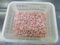 Frozen Vannamei Shrimp Origin Europe