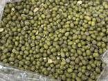 Green mung beans - photo 1