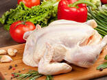 Halal - Frozen Chicken, Thigh, Back quarter, Wings , Fillet IPBF , IQF, BF. Ukraine ! - фото 2