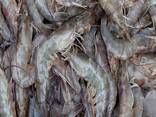 Healthy Seafood Vannamei Shrimp for Sale - фото 1