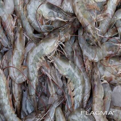 Healthy Seafood Vannamei Shrimp for Sale