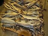High Grade Dried Stock Fish Dried Stockfish / Stock fish Cod from Norway ready for exports - фото 2