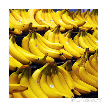 High Quality 100% G9 Cavendish Bananas for Sale in Bulk Quantity