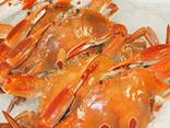 Hot Sale Wild Caught Frozen Alaskan King Crab - фото 2