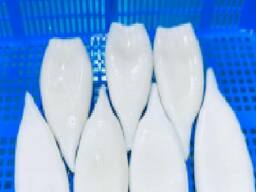 Мороженные рыба и морепродукты в Португалию от производителя из КНР