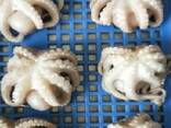 Мороженные рыба и морепродукты в Португалию от производителя из КНР - фото 5
