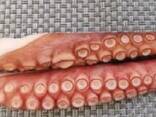 Мороженные рыба и морепродукты в Португалию от производителя из КНР - фото 7