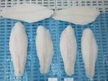 Pangasius fillets and whole frozen panga fish - фото 1