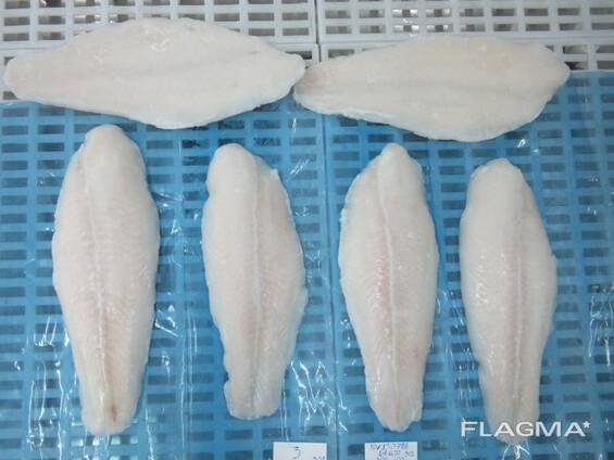 Pangasius fillets and whole frozen panga fish
