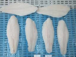 Pangasius fillets and whole frozen panga fish