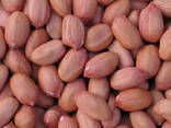 Peanuts from Vietnam - photo 3