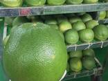 Pink Pomelo from Vietnam - фото 7