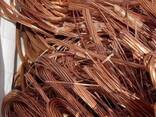 Pure Copper Wire Scrap / Copper Wire Scrap Competitive-Price - фото 1