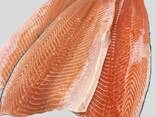 Premium Frozen Salmon Fillet / Chum Salmon - фото 2