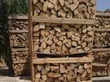 Premium Oak, Birch, Beech, Dried Birch Ash Oak Firewood For Sale