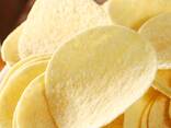 Wholesale Exotic Snacks Pringle Canned Snack Potato Chips Exotic Snack Multi Flavor Potato - фото 3