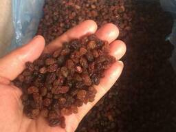 Raisins Sultana Abdjush (brown, confectionery)
