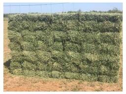 Ready Stock Alfalfa Hay / Alfalfa Baled for Export