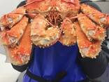 Red King Crab - photo 2