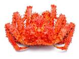 Red live king crab hot sale - фото 1