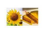 Sunflower oil - фото 2