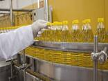 Sunflower Oil - фото 1