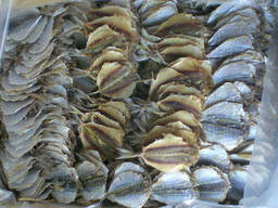 Сушеная рыба и снеки к пиву в Евросоюз от производителя из ВНР