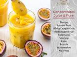 Tropical Juice Concentrates &amp; Pure from Vietnam - фото 1